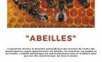 Exposition "Abeilles" - PNG - 1.1 Mo